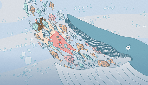 Fotogramma da Compilation 5 (dai sette anni in su)