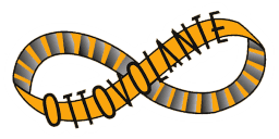 Associazione Ottovolante